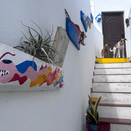 La Buganvilla House * アレシフェ