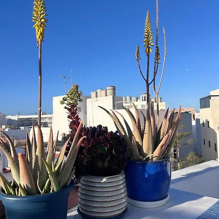 Tatil Evi La Buganvilla House